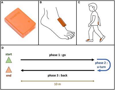 Innovative multidimensional gait evaluation using IMU in multiple sclerosis: introducing the semiogram